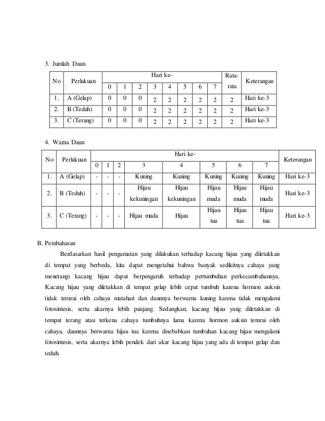 Contoh Laporan Penelitian Kecambah Kacang Hijau