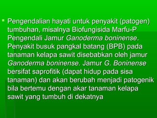  Pengendalian hayati untuk penyakit (patogen)
  tumbuhan, misalnya Biofungisida Marfu-P
  Pengendali Jamur Ganoderma boninense.
  Penyakit busuk pangkal batang (BPB) pada
  tanaman kelapa sawit disebabkan oleh jamur
  Ganoderma boninense. Jamur G. Boninense
  bersifat saprofitik (dapat hidup pada sisa
  tanaman) dan akan berubah menjadi patogenik
  bila bertemu dengan akar tanaman kelapa
  sawit yang tumbuh di dekatnya
 