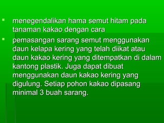   menegendalikan hama semut hitam pada
    tanaman kakao dengan cara
   pemasangan sarang semut menggunakan
    daun kelapa kering yang telah diikat atau
    daun kakao kering yang ditempatkan di dalam
    kantong plastik. Juga dapat dibuat
    menggunakan daun kakao kering yang
    digulung. Setiap pohon kakao dipasang
    minimal 3 buah sarang.
 