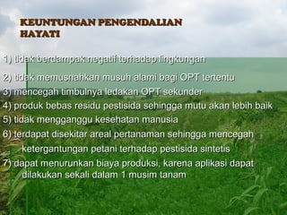 KEUNTUNGAN PENGENDALIAN
   HAYATI

1) tidak berdampak negatif terhadap lingkungan
2) tidak memusnahkan musuh alami bagi OPT tertentu
3) mencegah timbulnya ledakan OPT sekunder
4) produk bebas residu pestisida sehingga mutu akan lebih baik
5) tidak mengganggu kesehatan manusia
6) terdapat disekitar areal pertanaman sehingga mencegah
    ketergantungan petani terhadap pestisida sintetis
7) dapat menurunkan biaya produksi, karena aplikasi dapat
    dilakukan sekali dalam 1 musim tanam
 