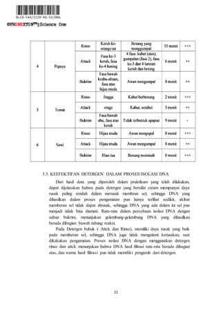 11
©FRONEXTON™‖Science One
3.3. KEEFEKTIFAN DETERGEN DALAM PROSES ISOLASI DNA
Dari hasil data yang diperoleh dalam praktikum yang telah dilakukan,
dapat dijelasskan bahwa pada detergen yang bersifat cream mempunyai daya
rusak paling rendah dalam merusak membran sel, sehingga DNA yang
dihasilkan dalam proses pengamatan pun hanya terlihat sedikit, akibat
memberan sel tidak dapat dirusak, sehingga DNA yang ada dalam ini sel pun
menjadi tidak bisa diamati. Rata-rata dalam percobaan isolasi DNA dengan
sabun bukrim, menunjukan gelembung-gelembung DNA yang dihasilkan
berada dibagian bawah tabung reaksi.
Pada Detergen bubuk ( Attck dan Rinso), memiliki daya rusak yang baik
pada memberan sel, sehingga DNA juga tidak mengalami kerusakan, saat
dikakukan pengamatan. Proses isolasi DNA dengan menggunakan detergen
rinso dan attck menunjukan bahwa DNA hasil filtrasi rata-rata berada dibagian
atas, dan warna hasil filtrasi pun tidak memiliki pengaruh dari detergen.
 