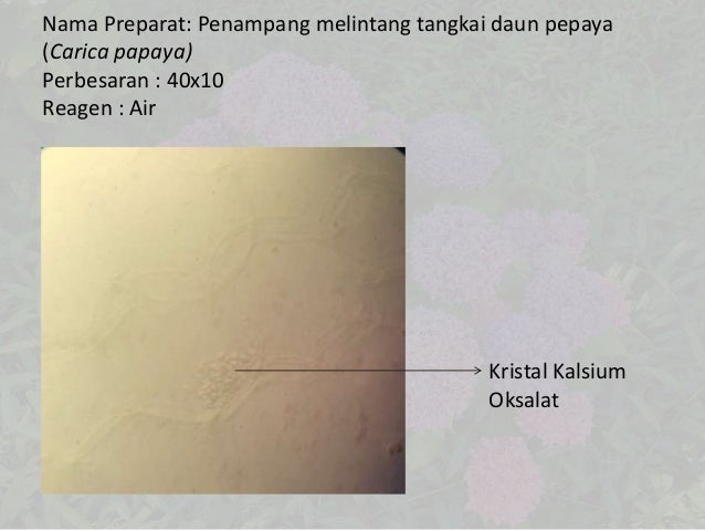 Praktikum Ketiga Kelompok 4