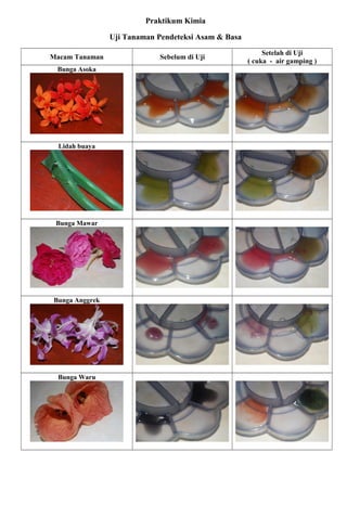 Praktikum Kimia
Uji Tanaman Pendeteksi Asam & Basa
Macam Tanaman Sebelum di Uji
Setelah di Uji
( cuka - air gamping )
Bunga Asoka
Lidah buaya
Bunga Mawar
Bunga Anggrek
Bunga Waru
 