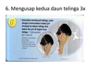 6. Mengusap kedua daun telinga 3x
 