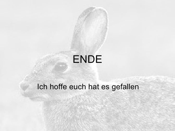 Ich Hoffe Es Hat Euch Gefallen