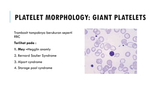 Comprehensive Overview of Platelets, Thrombocytopenia, and ...