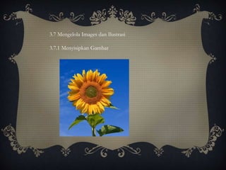 3.7 Mengelola Images dan Ilustrasi
3.7.1 Menyisipkan Gambar
 