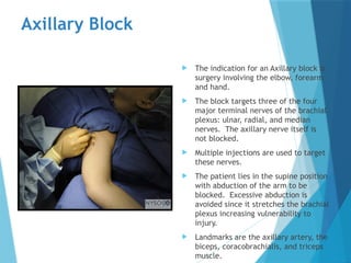 prameela peripheral nerve blocks anatomy and physiology considerations ...