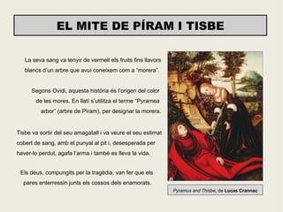 EL MITE DE PÍRAM I TISBE

   La seva sang va tenyir de vermell els fruits fins llavors
   blancs d’un arbre que avui coneixem com a “morera”.


      Segons Ovidi, aquesta història és l’origen del color
       de les mores. En llatí s’utilitza el terme “Pyramea
         arbor” (arbre de Píram), per designar la morera.


Tisbe va sortir del seu amagatall i va veure el seu estimat
cobert de sang, amb el punyal al pit i, desesperada per
haver-lo perdut, agafa l’arma i també es lleva la vida.


 Els déus, compungits per la tragèdia, van fer que els
  pares enterressin junts els cossos dels enamorats.
                                                               Pyramus and Thisbe, de Lucas Crannac
 