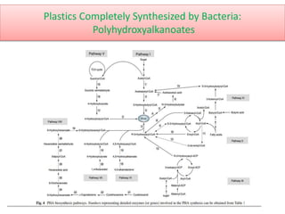 Plastics Completely Synthesized by Bacteria:
Polyhydroxyalkanoates
 