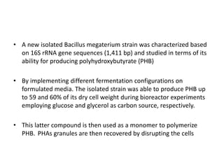 • A new isolated Bacillus megaterium strain was characterized based
on 16S rRNA gene sequences (1,411 bp) and studied in terms of its
ability for producing polyhydroxybutyrate (PHB)
• By implementing different fermentation configurations on
formulated media. The isolated strain was able to produce PHB up
to 59 and 60% of its dry cell weight during bioreactor experiments
employing glucose and glycerol as carbon source, respectively.
• This latter compound is then used as a monomer to polymerize
PHB. PHAs granules are then recovered by disrupting the cells
 