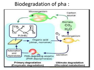 Biodegradation of pha :
 