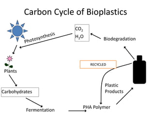 Carbon Cycle of Bioplastics
CO2
H2O
Carbohydrates
Plastic
Products
Plants
Fermentation
PHA Polymer
Biodegradation
RECYCLED
 