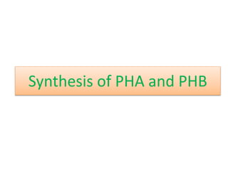 Synthesis of PHA and PHB
 