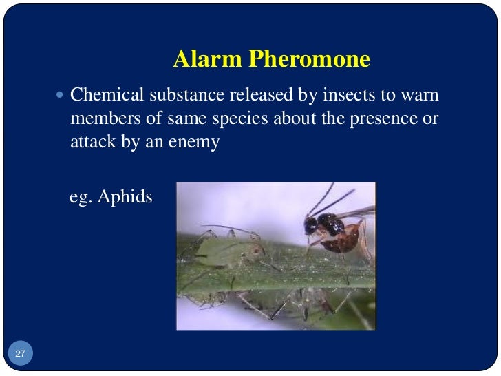 Pramod seminar checked