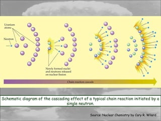Schematic diagram of the cascading effect of a typical chain reaction initiated by a
                                 single neutron.

                                               Source: Nuclear Chemistry by Cary R. Wilard
 