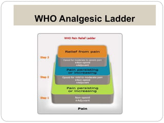 WHO Analgesic Ladder
 