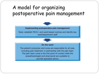 A model for organizing
postoperative pain management
 