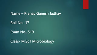 Name – Pranav Ganesh Jadhav
Roll No- 17
Exam No- 519
Class- M.Sc I Microbiology
 