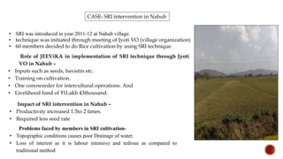 CASE- SRI intervention in Nahub
• SRI was introduced in year 2011-12 at Nahub village.
• technique was initiated through meeting of Jyoti VO (village organization)
• 60 members decided to do Rice cultivation by using SRI technique.
Role of JEEViKA in implementation of SRI technique through Jyoti
VO in Nahub –
• Inputs such as seeds, bavistin etc.
• Training on cultivation.
• One conoweeder for intercultural operations. And
• Livelihood fund of ₹1Lakh 43thousand.
Impact of SRI intervention in Nahub –
• Productivity increased 1.5to 2 times.
• Required less seed rate
Problems faced by members in SRI cultivation-
• Topographic conditions causes poor Drainage of water.
• Loss of interest as it is labour intensive and tedious as compared to
traditional method
 
