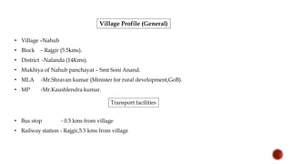 Village Profile (General)
• Village –Nahub
• Block – Rajgir (5.5kms).
• District -Nalanda (14Kms).
• Mukhiya of Nahub panchayat – Smt Soni Anand.
• MLA -Mr.Shravan kumar (Minister for rural development,GoB).
• MP -Mr.Kaushlendra kumar.
Transport facilities
• Bus stop - 0.5 kms from village
• Railway station - Rajgir,5.5 kms from village
 