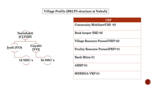 Village Profile (BRLPS structure at Nahub)
Narishakti
(CLF)201
Jyoti (VO)
14 SHG`s
Gayatri
(VO)
16 SHG`s
CRP
Community Mobilizer(CM) -03
Book keeper (BK)-02
Village Resource Person(VRP)-02
Poultry Resource Person(PRP)-01
Bank Mitra-01
AHRP-01
MNREGA-VRP-01
 