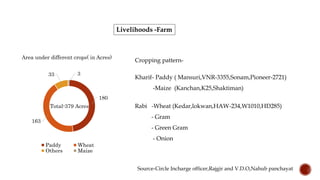 Livelihoods -Farm
180
163
33 3
Area under different crops( in Acres)
Paddy Wheat
Others Maize
Total-379 Acres
Cropping pattern-
Kharif- Paddy ( Mansuri,VNR-3355,Sonam,Pioneer-2721)
-Maize (Kanchan,K25,Shaktiman)
Rabi -Wheat (Kedar,lokwan,HAW-234,W1010,HD285)
- Gram
- Green Gram
- Onion
Source-Circle Incharge officer,Rajgir and V.D.O,Nahub panchayat
 