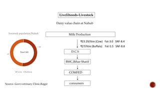 Livelihoods-Livestock
Dairy value chain at Nahub
168
157
livestock population,Nahub
Cattle Buffalow
Total-325
Source- Govt.vetrinary Clinic,Rajgir
Milk Production
D.C.S
BMC,Bihar Sharif
COMFED
consumers
₹23.29/litre (Cow) Fat-3.0 SNF-8.4
₹27/litre (Buffalo) Fat-5.5 SNF-8.8
 