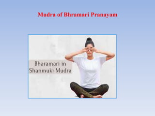 Mudra of Bhramari Pranayam
 
