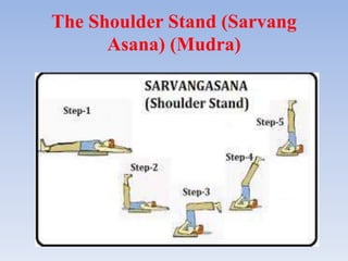 The Shoulder Stand (Sarvang
Asana) (Mudra)
 