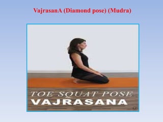 VajrasanA (Diamond pose) (Mudra)
 