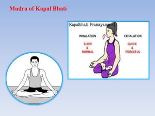 Mudra of Kapal Bhati
 