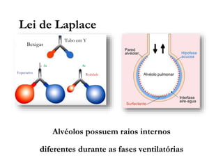 Bexigas
Tubo em Y
Expectativa
Realidade
Ar
Ar
Alvéolos possuem raios internos
diferentes durante as fases ventilatórias
Lei de Laplace
 