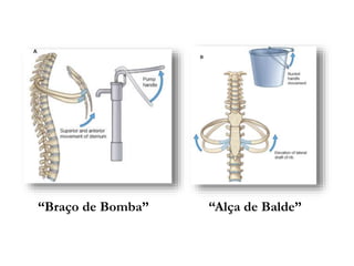 “Braço de Bomba” “Alça de Balde”
 