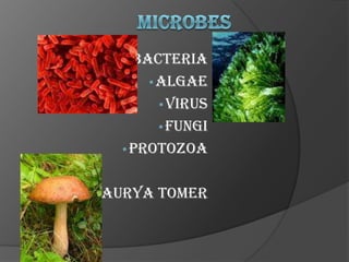 Microbes ,[object Object]