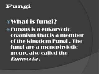 AlgaeWhere are they found ?Algae are usually  found in moist, damp or aquatic placesDoes algae have chlorophyll or not?Alga is the only being other than plants containing chlorophyll . Alga also is the only being except plants to photosynthesize.