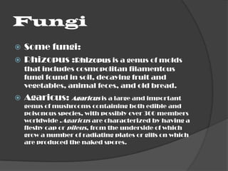 AlgaeSome algae :SpirogyraChlamydomonasVolvoxKelp