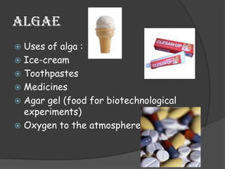 BacteriaUses of bacteria :Medicine Industry (antibiotics)Tanning of leatherWine IndustryLactobacillus (converts curd into milk)Bacteria living in the gut of herbivore animals break down cellulose.Synthesis of vitamin b complexDecompose matterNitrogen fixation