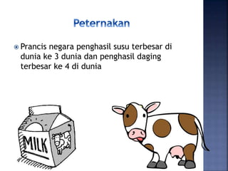  Prancis negara penghasil susu terbesar di
dunia ke 3 dunia dan penghasil daging
terbesar ke 4 di dunia
 