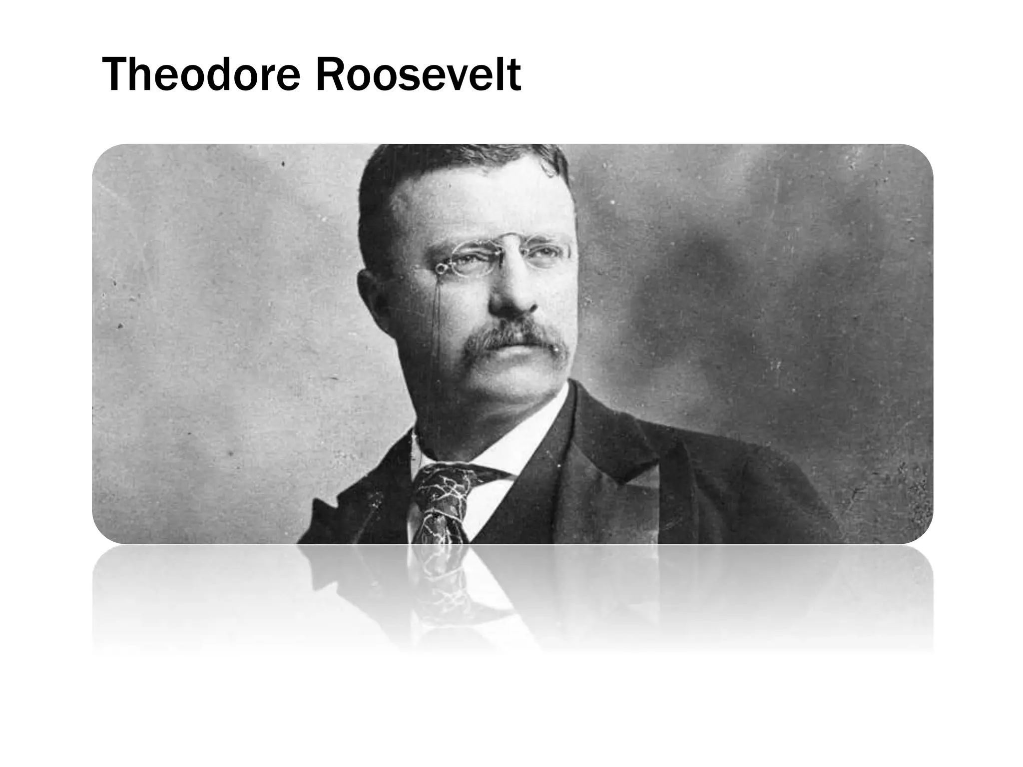 Theodore Roosevelt
5
 