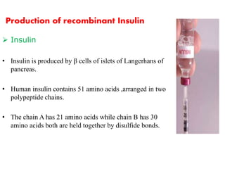 Production of recombinant Insulin 
 Insulin 
• Insulin is produced by β cells of islets of Langerhans of 
pancreas. 
• Human insulin contains 51 amino acids ,arranged in two 
polypeptide chains. 
• The chain A has 21 amino acids while chain B has 30 
amino acids both are held together by disulfide bonds. 
 