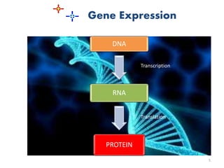 Gene Expression 
DNA 
RNA 
PROTEIN 
5 
Transcription 
Translation 
 