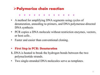 Polymerize chain reaction 
• A method for amplifying DNA segments using cycles of 
denaturation, annealing to primers, and DNA polymerase-directed 
DNA synthesis 
• PCR copies a DNA molecule without restriction enzymes, vectors, 
or host cells . 
• Faster and easier than conventional cloning. 
• First Step in PCR: Denaturation 
1. DNA is heated to break the hydrogen bonds between the two 
polynucleotide strands. 
• Two single-stranded DNA molecules serve as templates. 
11 
 