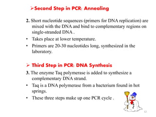 Second Step in PCR: Annealing 
2. Short nucleotide sequences (primers for DNA replication) are 
mixed with the DNA and bind to complementary regions on 
single-stranded DNA . 
• Takes place at lower temperature. 
• Primers are 20-30 nucleotides long, synthesized in the 
laboratory. 
 Third Step in PCR: DNA Synthesis 
3. The enzyme Taq polymerase is added to synthesize a 
complementary DNA strand. 
• Taq is a DNA polymerase from a bacterium found in hot 
springs. 
• These three steps make up one PCR cycle . 
12 
 