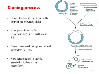 Cloning process 
• Gene of interest is cut out with 
restriction enzymes (RE) 
• Host plasmid (circular 
chromosome) is cut with same 
RE 
• Gene is inserted into plasmid and 
ligated with ligase. 
• New (engineered) plasmid 
inserted into bacterium 
(transform) 
8 
 