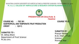 PRESENTION ON Citrus fruits &
Hazelnut
MAHATMA GANDHI UNIVERSITY OF HORTICULTURE & FORESTRY SANKARA PATAN DURG C.G. 491111
Pt. K.L.S. COLLEGE OF HORTICULTURE & RESEARCH STATION RAJNANDGAON (C.G.)
COURSE NO. : FSC 501 COURSE TITLE :
SUBTROPICAL AND TEMPERATE FRUIT PRODUCTION
CREDIT : 3(2+1)
SUBMITED TO :
Dr. Abhay Bisen
Department of Fruit Science
Pt.kls chrs
SUBMITED BY :
Pranjal Pandey
M.Sc (Hort.) Fruit
Science
Previous Year
 