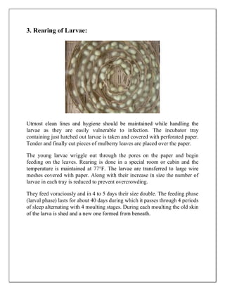 Sericulture Notes.pdf Notes on