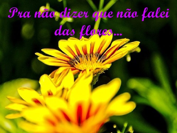 Letra Pra Não Dizer Que Não Falei Das Flores