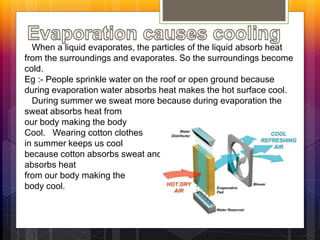 When a liquid evaporates, the particles of the liquid absorb heat
from the surroundings and evaporates. So the surroundings become
cold.
Eg :- People sprinkle water on the roof or open ground because
during evaporation water absorbs heat makes the hot surface cool.
During summer we sweat more because during evaporation the
sweat absorbs heat from
our body making the body
Cool. Wearing cotton clothes
in summer keeps us cool
because cotton absorbs sweat and when the sweat evaporates it
absorbs heat
from our body making the
body cool.
 