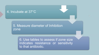 .
4. Incubate at 37°C
5. Measure diameter of Inhibition
zone
6. Use tables to assess if zone size
indicates resistance or sensitivity
to that antibiotic.
 